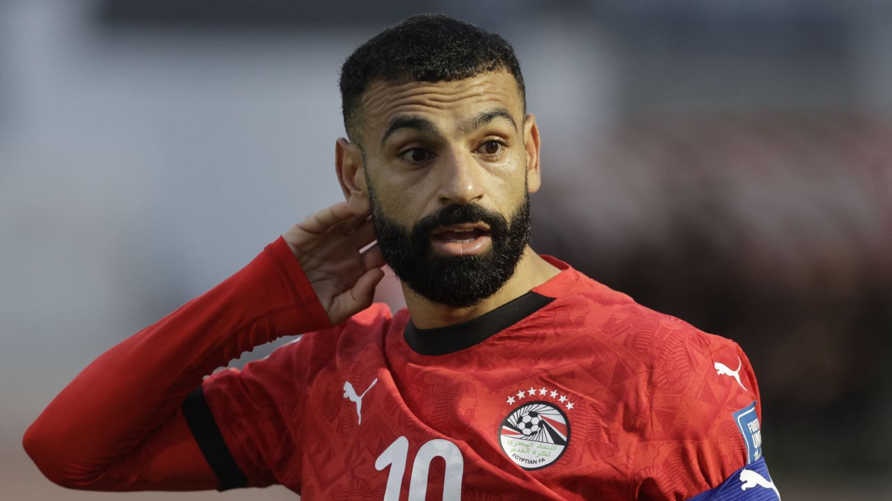 FIFA要求埃及世界杯球衣去掉七星标志 号码改为白色